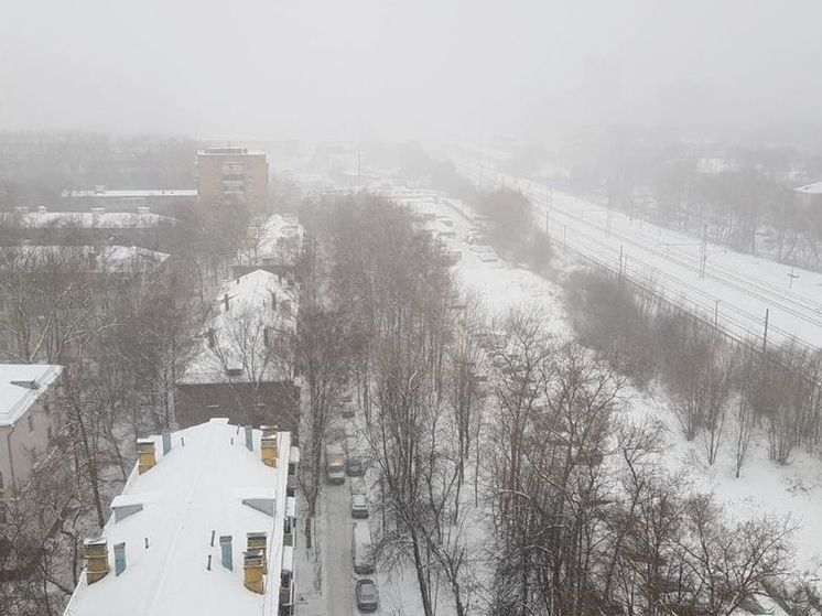 Жителей Подмосковья предупредили о порывах ветра до 17 м/с в понедельник