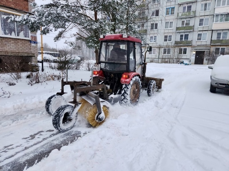 В Старой Руссе за выходные выпала половина месячной нормы снега