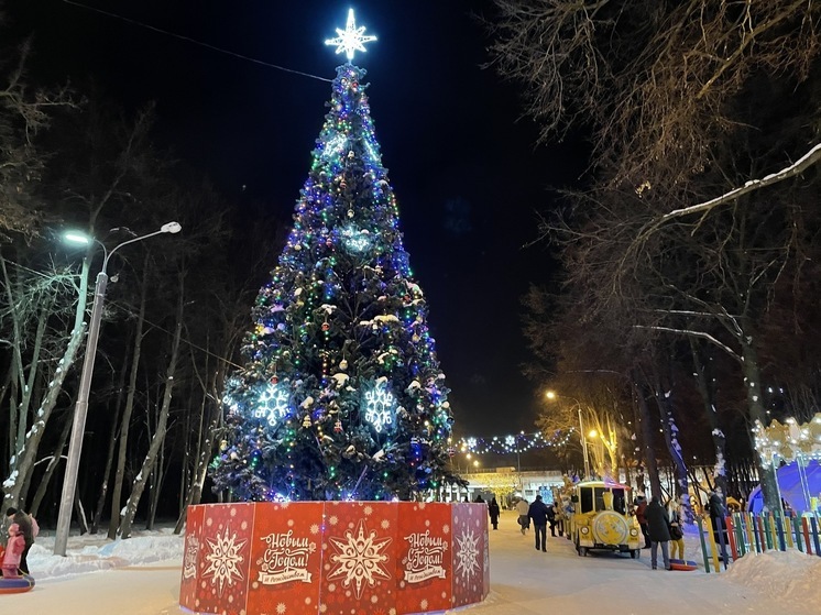 В Госдуме объяснили отказ сделать выходным днём 31 декабря