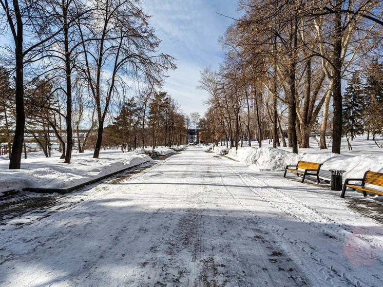 Стал известен прогноз  погоды в Новосибирске на новогодние каникулы