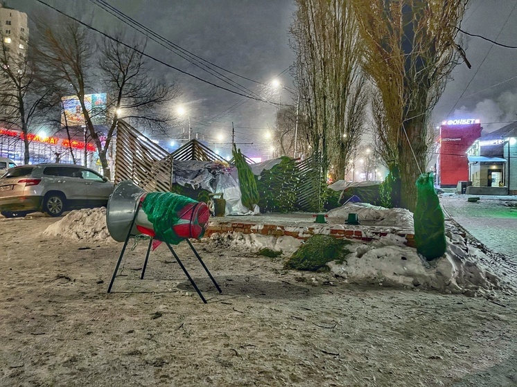 В Саратове начали торговать новогодними елками