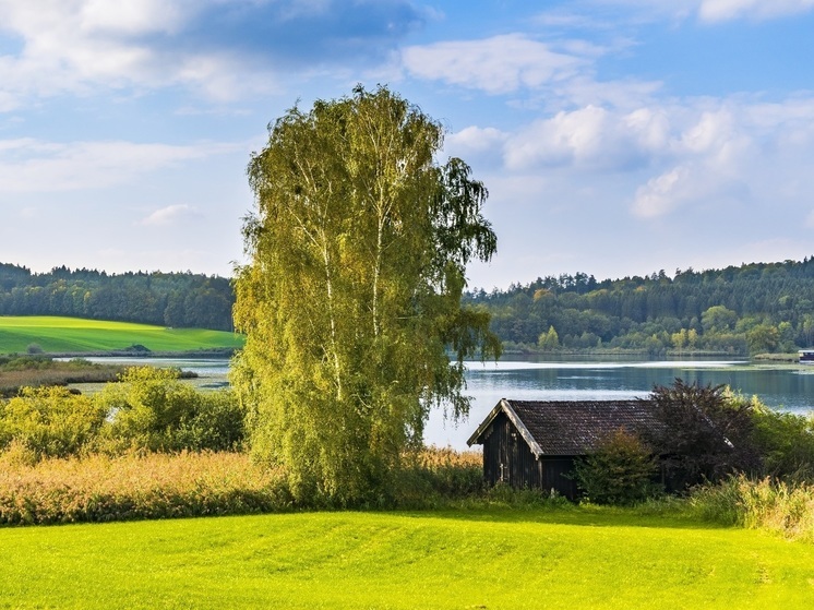 Mash: у украинцев начали конфисковывать земельные участки в Брянской, Белгородской и Курской областях
