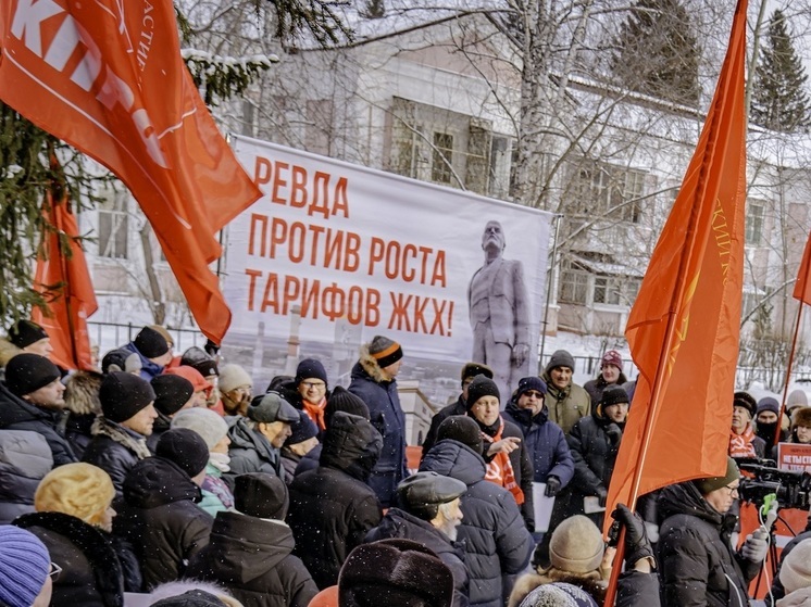 В Ревде выступили против повышения тарифов и за сохранение памятника Ленину