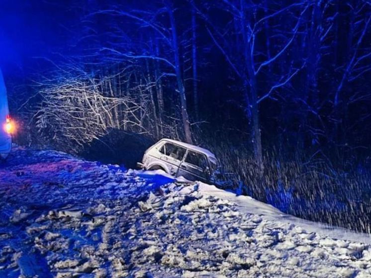Пять человек погибли в ДТП в Ленобласти за минувшие выходные