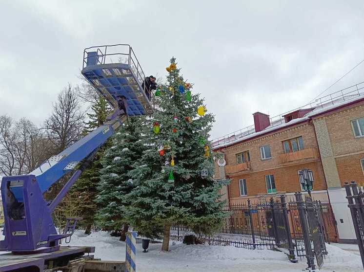 Около 100 городских елей украсят в Брянске