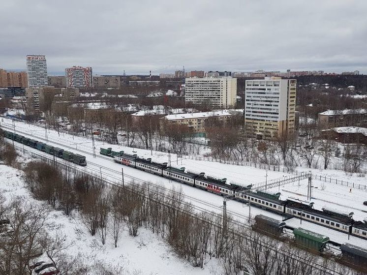 В Подмосковье в следующем году появится Ассоциация ветеранов СВО