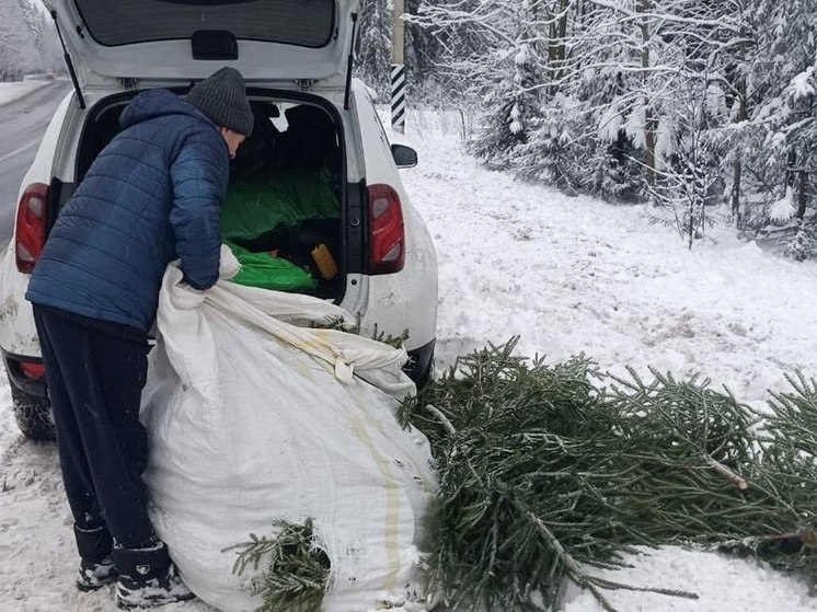 В Петербурге задержали мужчину, незаконно срубившего 84 елки