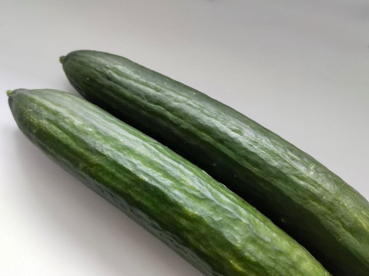 Белгородские власти будут следить за наценкой на продукцию на ярмарках
