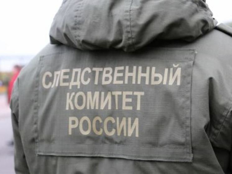 В Тосненском районе на пожарище обнаружили тело погибшего
