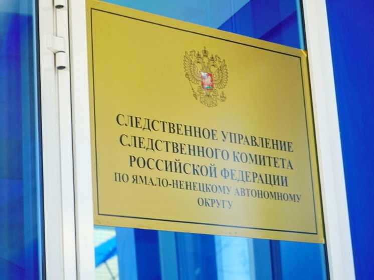 Школьного стрелка из Губкинского будут судить за хулиганство