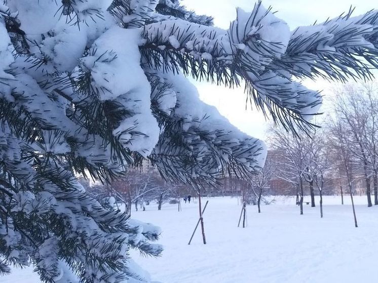 Более 2 тысяч новгородцев остались без электричества из-за снегопада