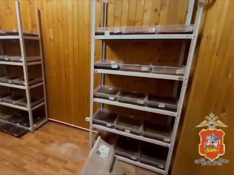Мигрант создал нарколабораторию в частном доме в Домодедово