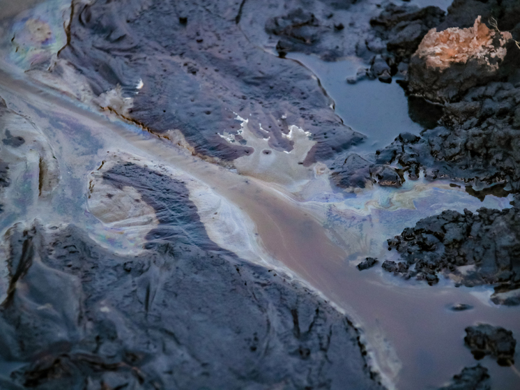 На Кубани начали проверку из-за загрязнения прибрежной полосы мазутом после ЧП с танкерами