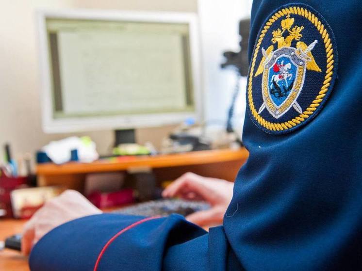 Бастрыкин затребовал доклад о выселении пенсионеров из квартир в Тульской области