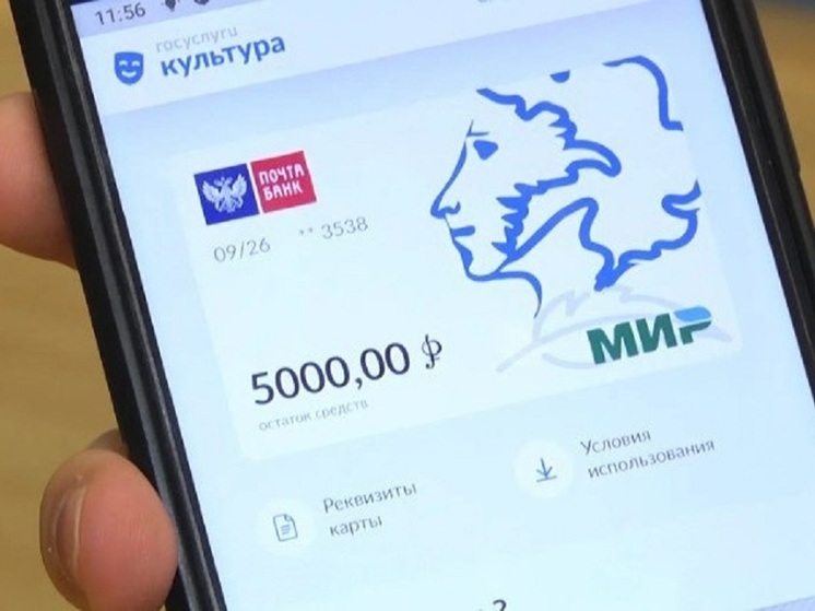 «Пушкинскую карту» получили более 1500 жителей ДНР