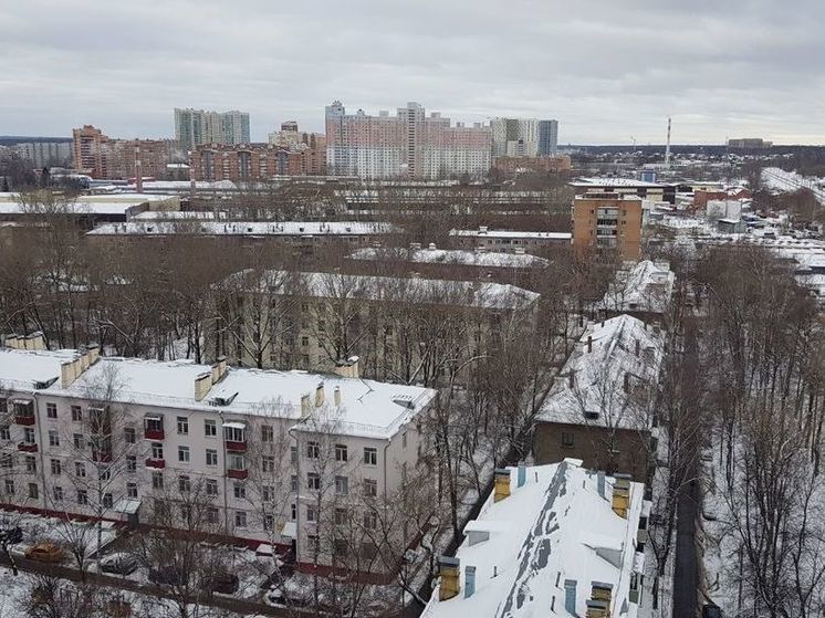 Зарплаты курьеров в Подмосковье назвали одними из самых высоких в России