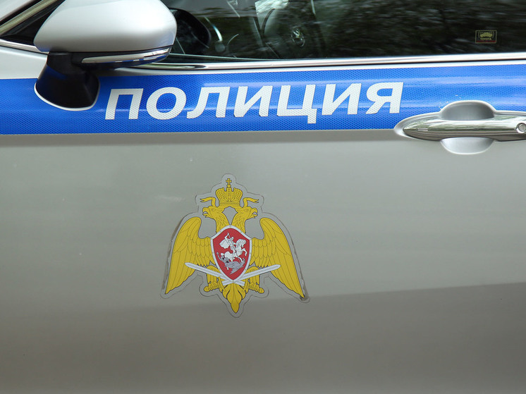 Собака крупной породы напала на школьника в Дедовске