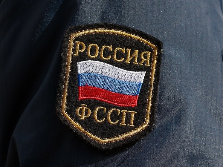 Mash: задолжавший алименты мужчина спрятался от пришедших приставов в потолке