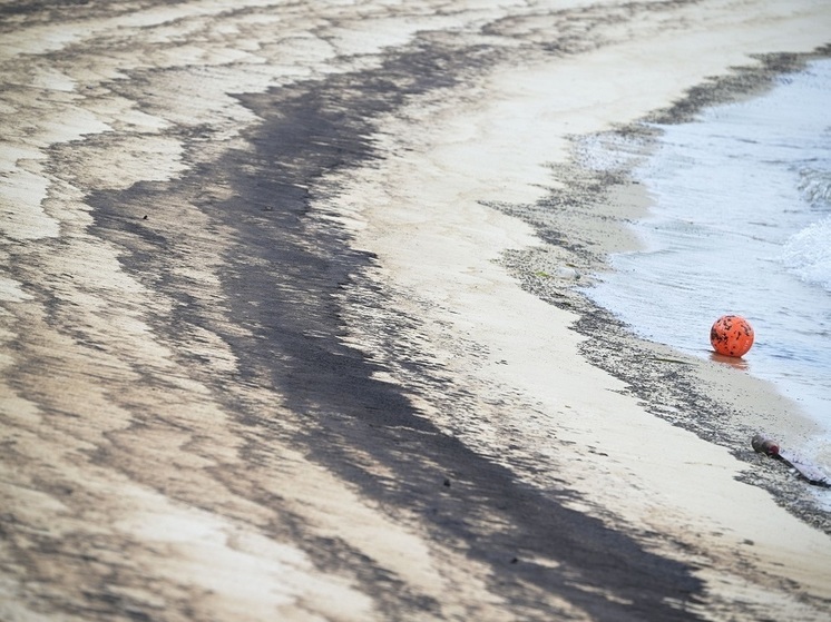 Baza: после крушения танкеров «Волгонефть» жители Анапы сами начали чистить берег от разлившегося мазута