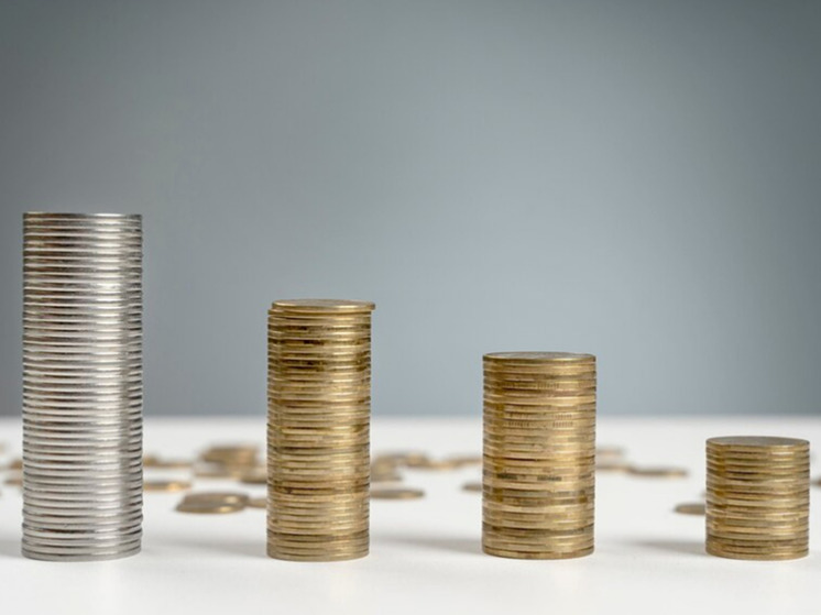 Нижняя палата приняла закон сразу в двух чтениях