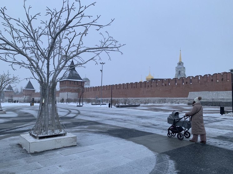 Жительница Тулы пожаловалась Путину на дефицит комнат матери и ребенка