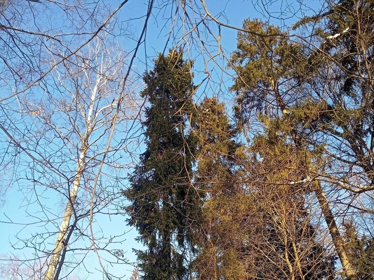 Что нельзя делать саратовцам 18 декабря