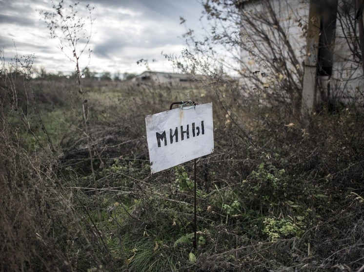 Саперы «Днепра» в Запорожской области разминируют оставленные ВСУ минные поля