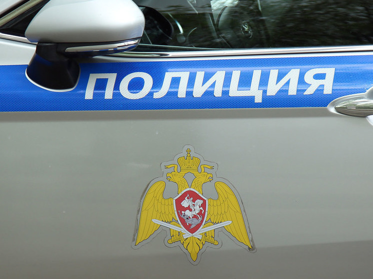 Мужчина пытался убить жену и сына 7 лет в Подмосковье