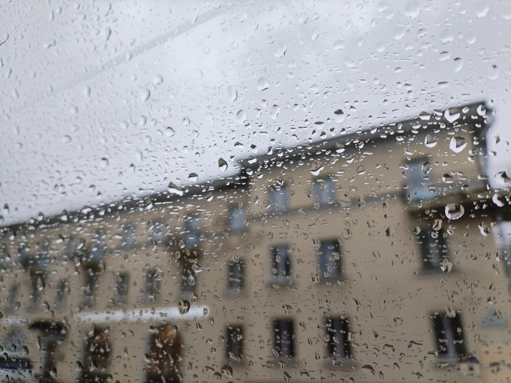 Петербуржцев 19 декабря ждут мокрый снег и гололед