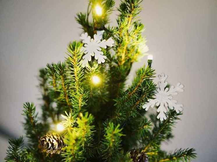 Amur Mash: полиция начала искать водителя, превратившего машину в большую новогоднюю гирлянду