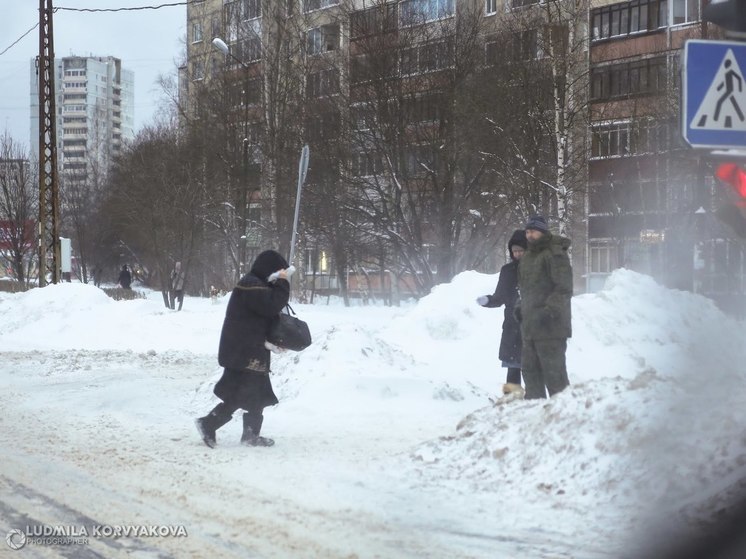 Сильный ветер и метель вновь ожидаются в Карелии