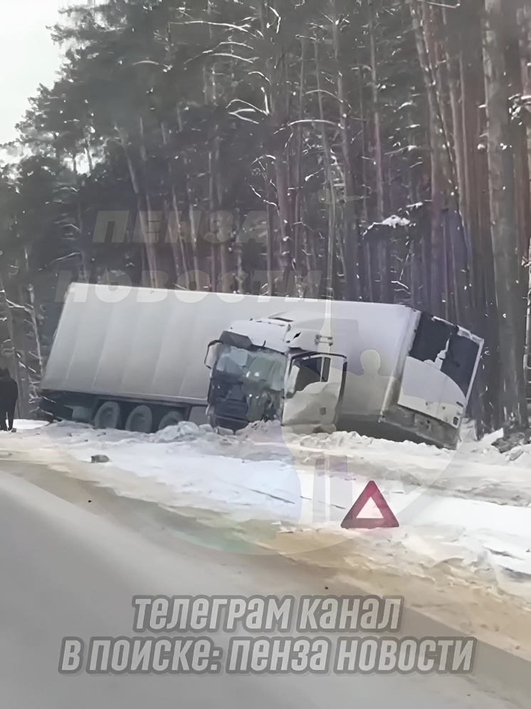 Фура вылетела в кювет на трассе М-5 в Пензенской области