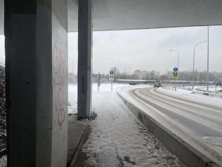 В Петербурге из-за ухудшения погоды КАД будут чистить в усиленном режиме