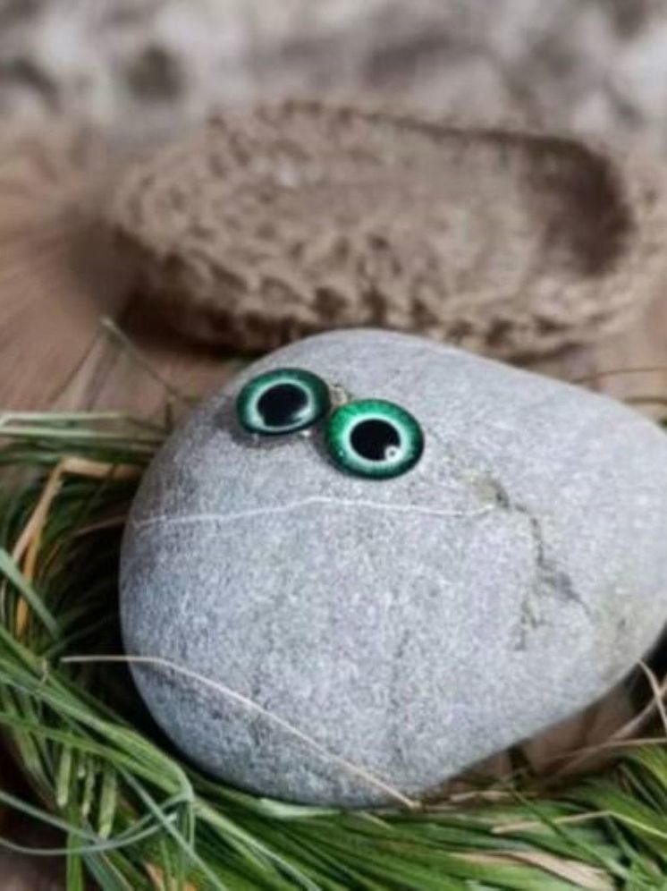 Юные россияне увлеклись камнями с глазами, которые продают на маркетплейсах