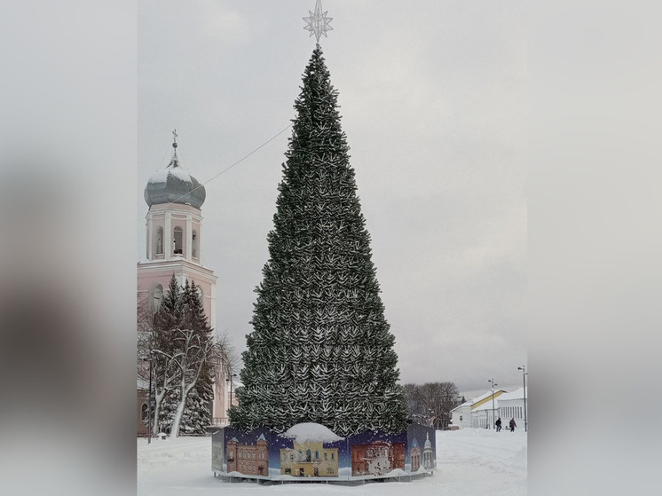 В Валдае установили главную городскую елку