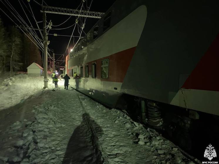 При столкновении поездов в Заполярье пострадала семья с ребёнком