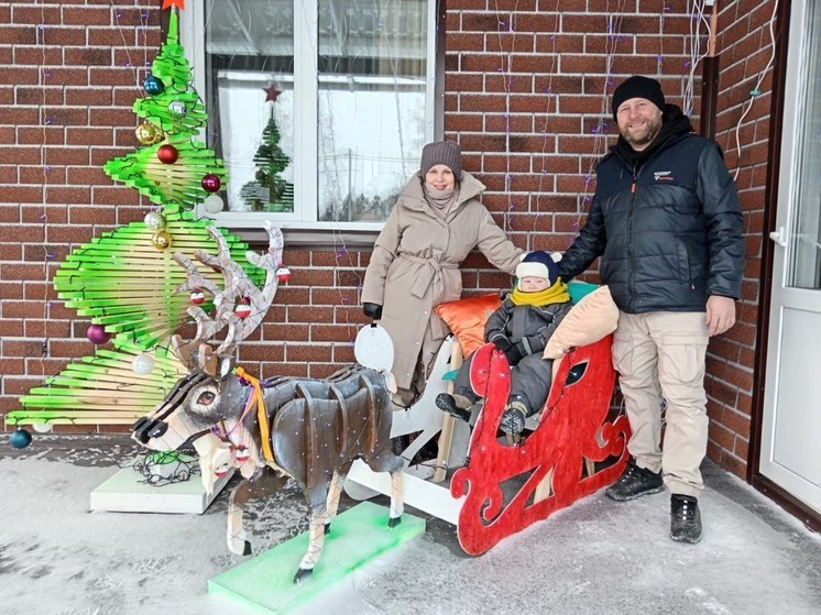 В Омске  завершился прием заявок на конкурс «Лучшая дворовая елка»