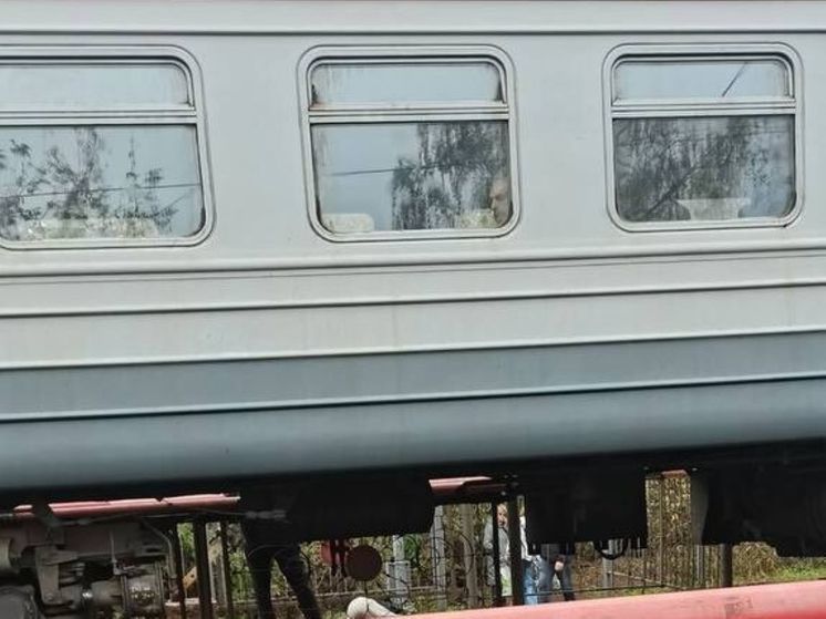 Мужчина погиб под колесами поезда на станции в Чеховском округе
