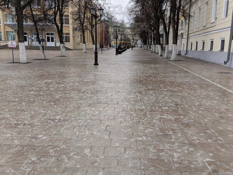 Прокуратура Пронского района потребовала устранить последствия снегопада