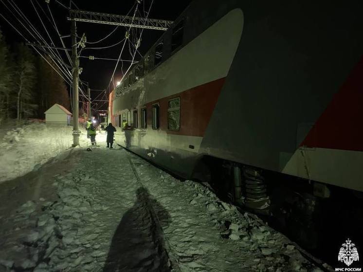 Машиниста грузового поезда и его помощника задержали в Мурманской области