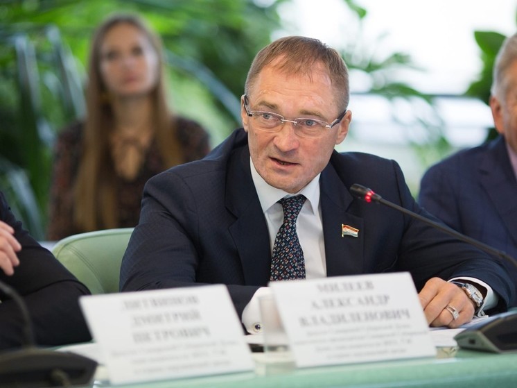 Александр Милеев объяснил, как голосуют депутаты самарской Губернской думы