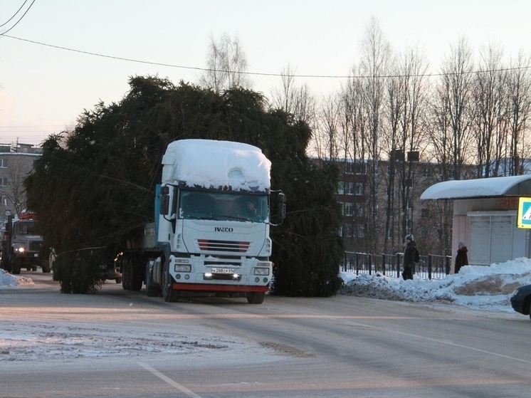 В Тверской области из-за большой новогодней ёлки на дороге образовалась пробка