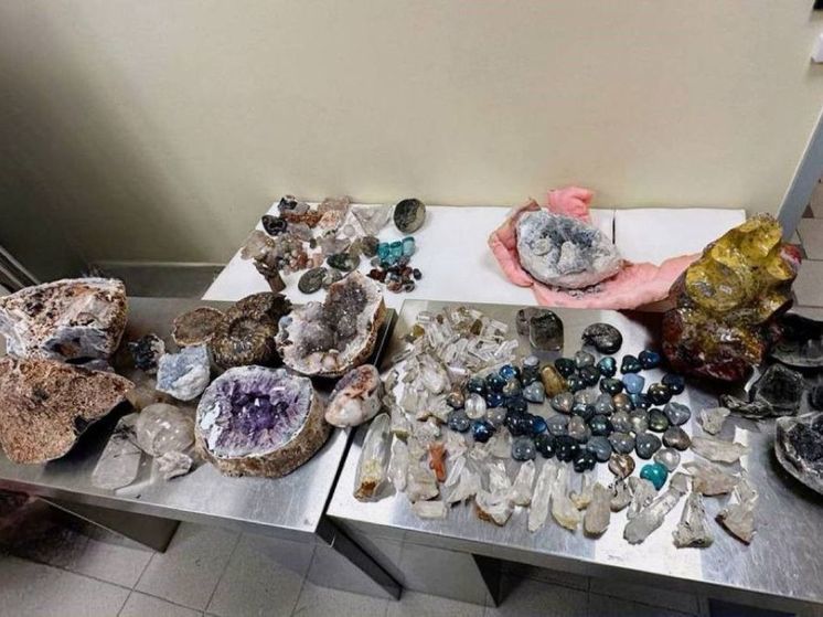 Пассажир из Мадагаскара попался на таможне Домодедово с крупной партией минералов и моллюсков