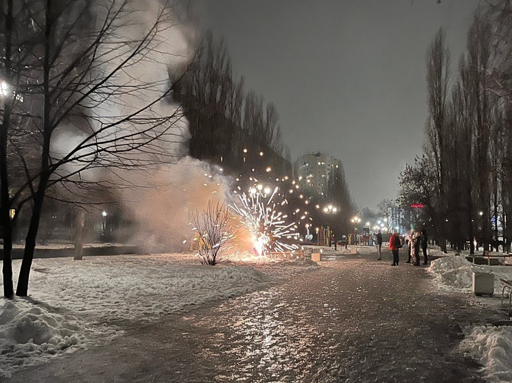 Глава Петровского района запретил корпоративы на Новый год