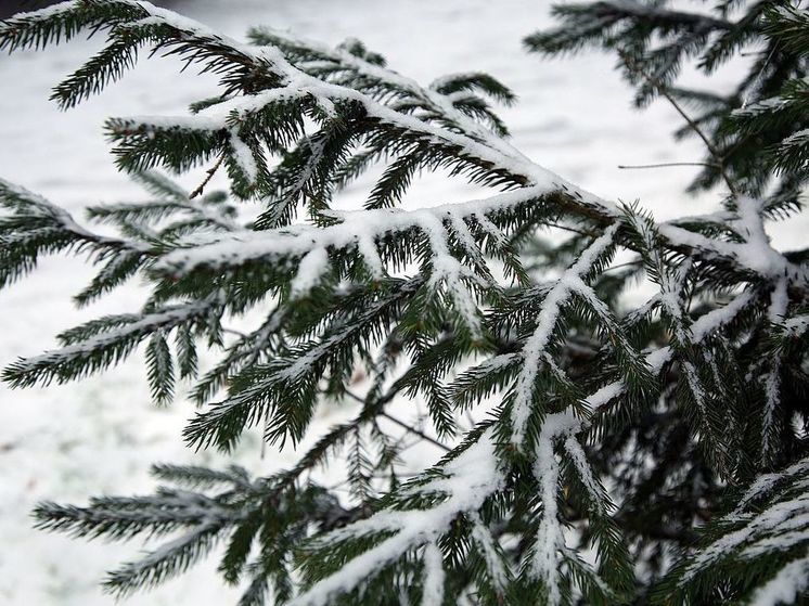 Синоптик Шувалов предупредил о температурных качелях в Москве на следующей неделе