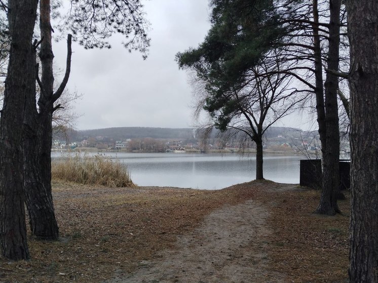 В Белгородской области потеплеет на несколько градусов в пятницу