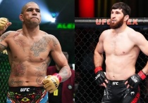 Взаимоотношения между двумя топовыми бойцами полутяжелого веса UFC, Алексом Перейрой и Магомедом Анкалаевым, накалились после того, как Перейра открыто заявил, что не планирует встречаться с Анкалаевым в октагоне. "МК-Спорт" рассказывает подробности.