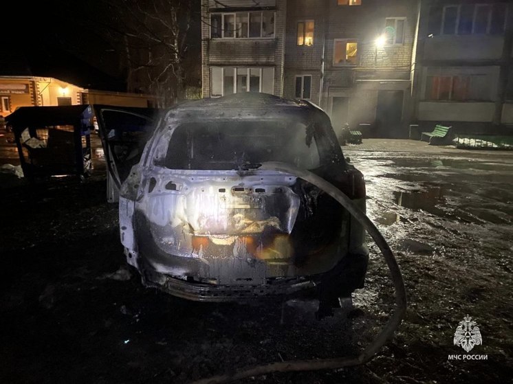 Ночью в брянском Новозыбкове сгорел автомобиль