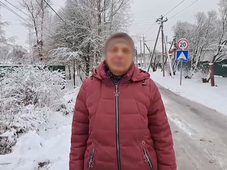 Мошенники под видом ФСБ вынудили жительницу Подмосковья продать дом за 7,5 млн рублей