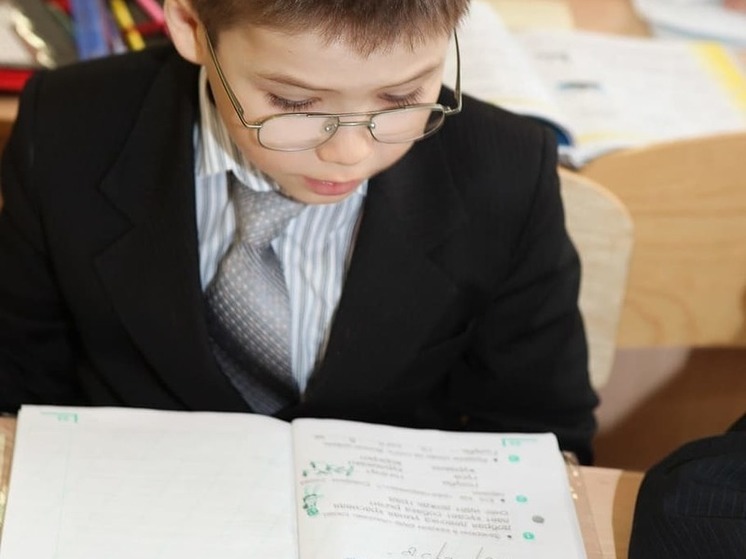 Школы ЛНР переходят на электронные дневники и журналы